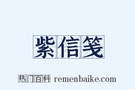 紫信笺是什么意思的图片
